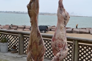 uncle richard's birthday 2013 003