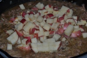 deer in velvet, chicken enchiladas, picadillo, sorghum 014