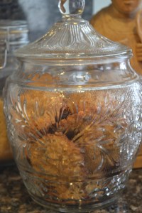 Mary's first day, oatmeal cookies 017