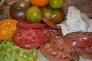 vail, rabbit, venison and barley soup, 9-13-13 055