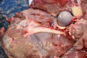 smoked pork shank, rum cake, tamales, dance, christmas 100