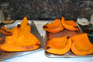 jerky, rattlesnake, roasting pumpkin 024