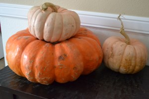 Uncle richard's 2014 party, pumpkin 007