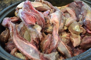 eggs, graduation, quail, nilgai ribs 094