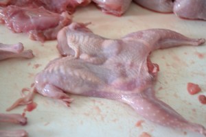 christmas, quail 10-28-14 101