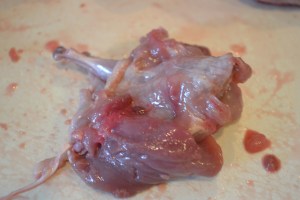 christmas, quail 10-28-14 104