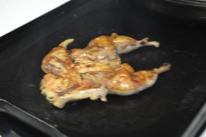 eggs, graduation, quail, nilgai ribs 038