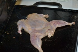 eggs, graduation, quail, nilgai ribs 039