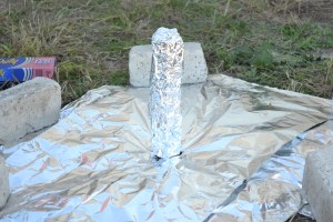 trashcan turkey, pheasant phantazmagoria 014