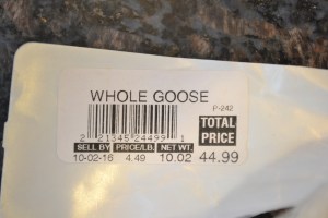 goose, nilgai, 2015 024