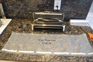 goose, nilgai, 2015 044