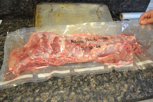 goose, nilgai, 2015 051