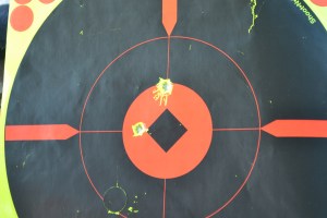 Mary's doe, shooting 054