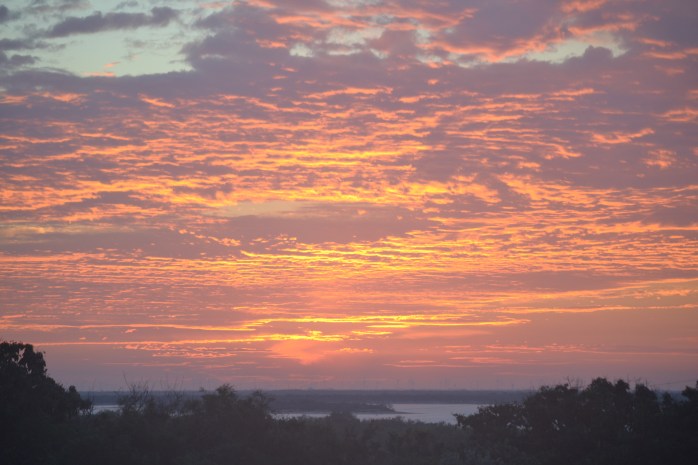 sunrise and Christmas 001