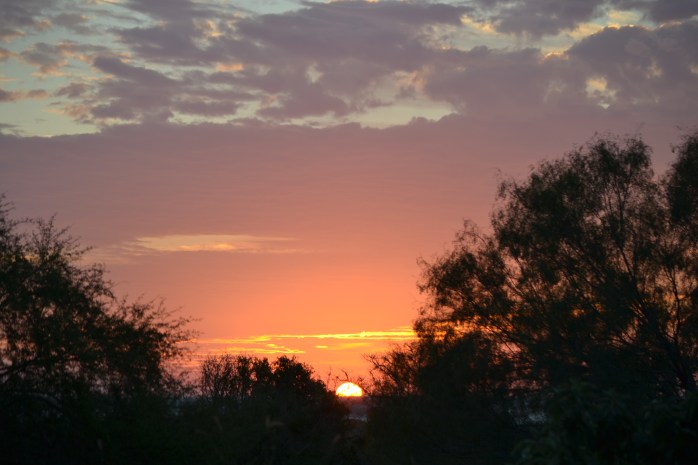 sunrise and Christmas 006